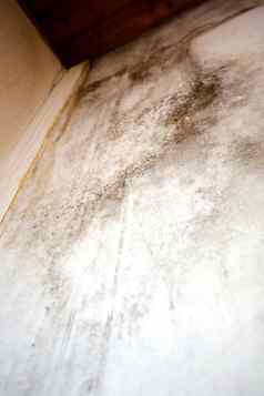 黑色的模具角落里天花板建筑水损害导致模具增长危险的有毒真菌房间改造房子复制空间