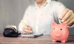 女业务女人政府计数储蓄钱粉红色的小猪银行业务储蓄税金融概念背景