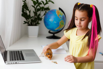 快乐的年轻的女孩宠物仓鼠移动PC电脑研究在线电子学习系统首页距离远程学习