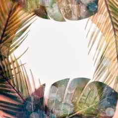 最小的夏天概念棕榈树叶有创意的Copyspace纸框架色彩斑斓的春天背景纸卡请注意
