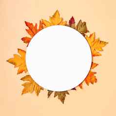 自然9月10月背景伟大的季节纹理秋天情绪