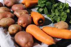洗生蔬菜托盘土豆胡萝卜薄荷太阳灯
