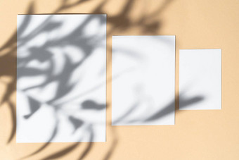空白白色的名片米色背景有创意的花影子