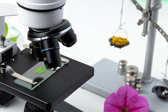 医疗实验室科学显微镜测试管植物