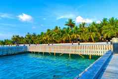 木桥梁领先的小屋海岸热带温暖的海马尔代夫旅游概念