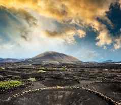 大葡萄园火山山