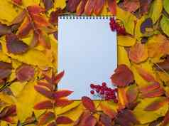 前视图笔记本秋天明亮的色彩斑斓的叶子色彩斑斓的叶子空白日记页面群红色的浆果秋天布局复制空间教育概念