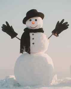 雪人他围巾冬天户外雪人绅士冬天黑色的他围巾手套圣诞节冬天