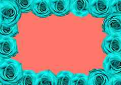 蓝色的玫瑰广场框架珊瑚背景