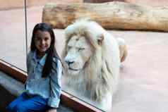 女孩看玻璃白色狮子动物园活动学习孩子