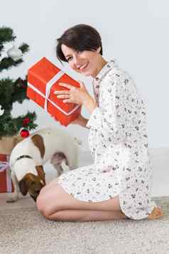 快乐年轻的女人可爱的狗开放现在盒子圣诞节树假期概念