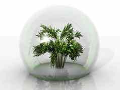 植物泡沫