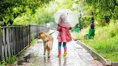 女孩走狗雨