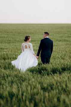 新郎新娘走小麦绿色场