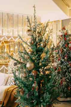首页圣诞节室内圣诞节树很多发光的花环光灯泡准备圣诞节聚会，派对首页