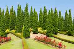 景观花园皇家植物区系Ratchaphruek