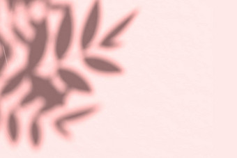 有创意的Copyspace<strong>阴影</strong>闪亮的软粉红色的墙前视图<strong>叶子阴影</strong>粉红色的背景