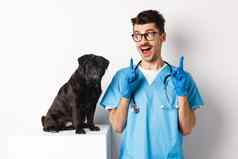 快乐的英俊的veteriantian实习医生风云盯着快乐可爱的狗哈巴狗微笑指出手指促销提供白色背景