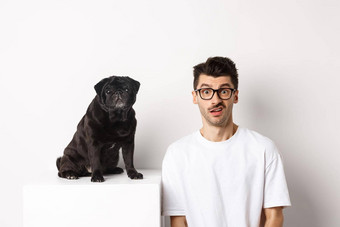 图像赶时髦的人狗老板坐着可爱的黑色的哈巴狗盯着相机困惑困惑白色背景