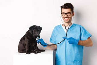 英俊的兽医兽医诊所检查可爱的黑色的哈巴狗狗指出手指宠物检查听诊器白色背景
