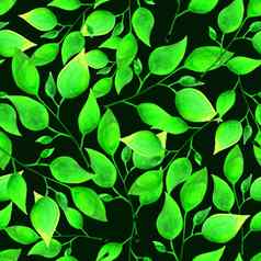 无缝的水彩模式绿色树叶黑暗绿色背景没完没了的艺术作品手绘花壁纸夏天植物