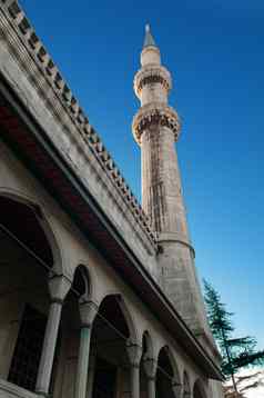 蓝色的清真寺伊斯坦布尔火鸡