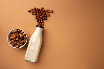 榛子素食主义者<strong>牛奶瓶</strong>棕色（的）背景前视图