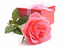 粉红色的玫瑰红色的礼物盒子白色