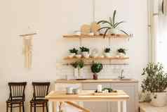 时尚的斯堪的那维亚开放空间厨房配件植物