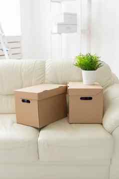 盒子的事情花能站沙发上移动居民公寓概念首页购买麻烦移动