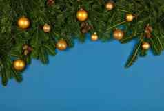 装饰新鲜的圣诞节树分支机构蓝色的