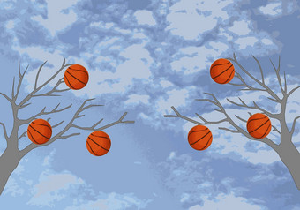 篮球挂树天空
