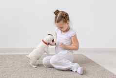 宠物动物概念孩子女孩玩小狗杰克罗素梗