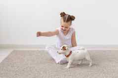 宠物童年动物概念孩子女孩玩地板上小狗杰克罗素梗
