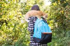 徒步旅行旅游自然概念年轻的女旅行者背包猫站森林背景