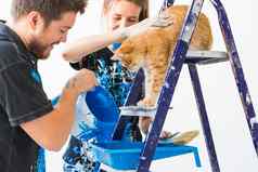 人改造修复概念肖像快乐夫妇猫对于油漆