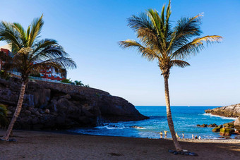 热带岛tenerife海岸西班牙语城市大西洋海洋全景城市海滩岛tenerife背景颜色梯度粮食<strong>声音效</strong>果