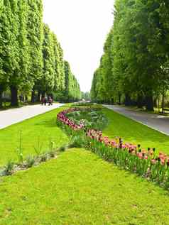 中央公园植物区系奥洛穆茨城市捷克共和国