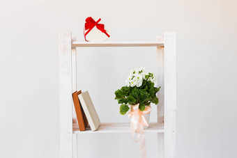 心形状礼物盒子书室内植物书架上最小的作文春天室内概念