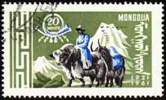 帖子邮票男人。国家蒙古服装牦牛