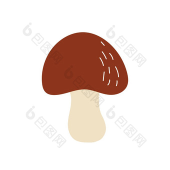 简单的图标牛肝菌属手绘蘑菇白色背景