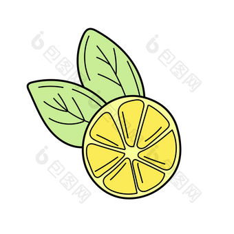 向量手画柠檬热带水果草图涂鸦夏天设计