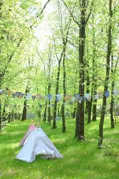 蓝色的手工制作的帐篷森林闪亮的天气