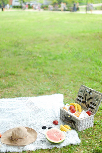 野餐盒子他水果格子草背景
