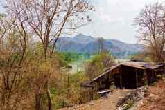 小屋丛林泰国树银行