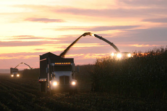 玉米收获日落
