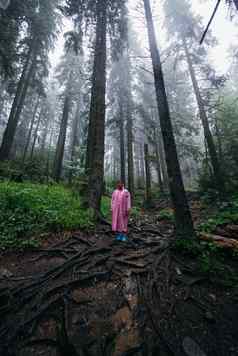 年轻的女人雨衣走森林雨