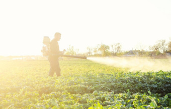 农民处理土豆种植园喷雾器保护昆虫害虫真菌疾病农业农业综合企业农业行业减少作物威胁植物救援