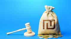 以色列谢克尔钱袋法官的槌子诉讼争端决议冲突感兴趣结算授予道德金融补偿保护权利正义律师服务