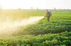 农民处理土豆种植园喷雾器保护昆虫害虫真菌疾病减少作物威胁植物救援农业农业综合企业农业行业